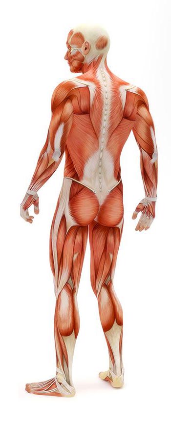 بهترین فیزیوتراپی دراصفهان دکتر قولنج