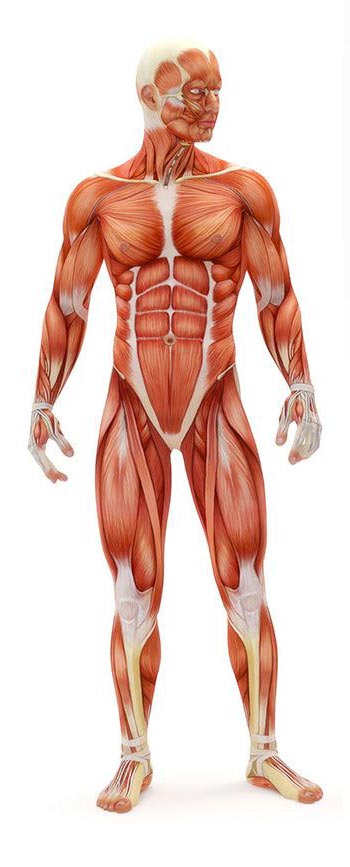 بهترین فیزیوتراپی دراصفهان دکتر قولنج